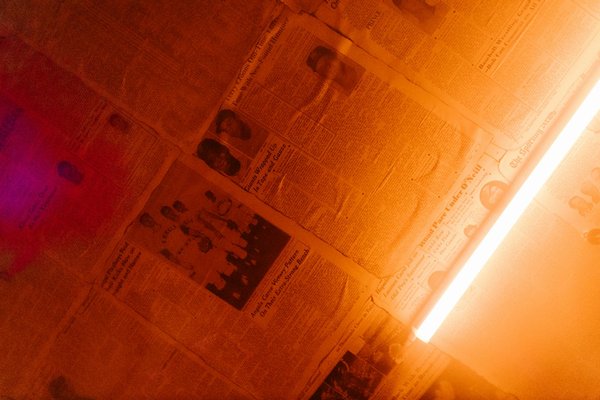 How Can Pet Owners in the UK Improve Their Pets' Well-Being?