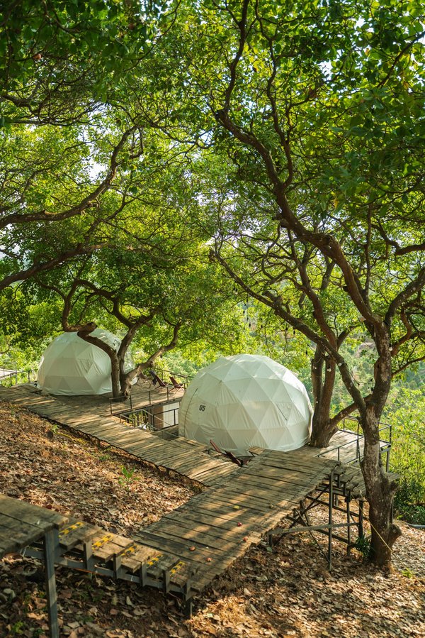 Discovering naturist camping excellence in France's landes region